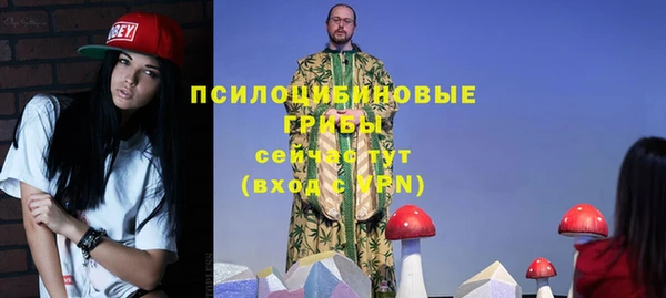 spice Балабаново