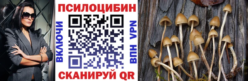 Псилоцибиновые грибы мицелий блэк спрут онион Печора