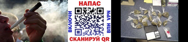 Шишки марихуана планчик  blacksprut   Печора 